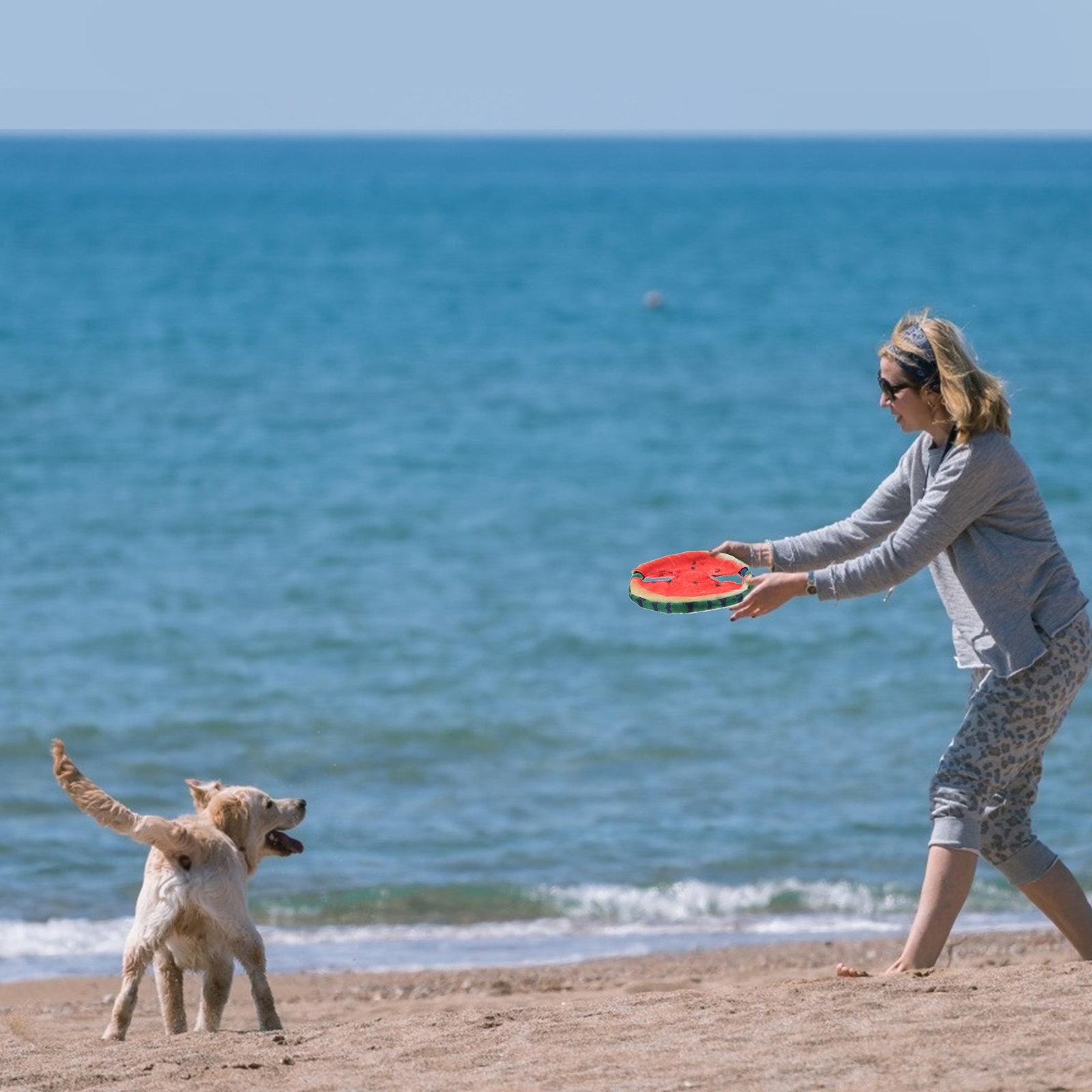 Flying Disc Dog Training Toy - Lekki, pływający frisbee dla psa w