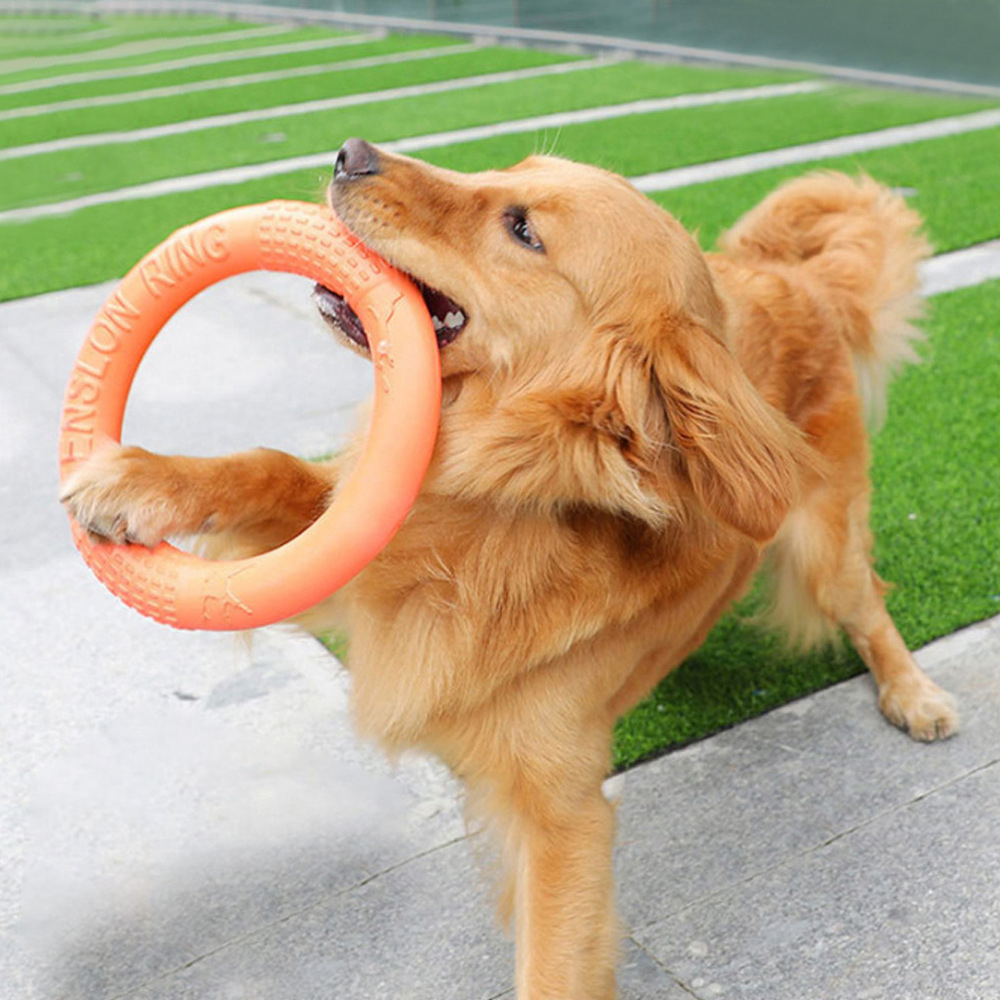 1 szt. Pomarańczowy zabawki dl – Flying Disc Dog Training Toy recenzja i cena