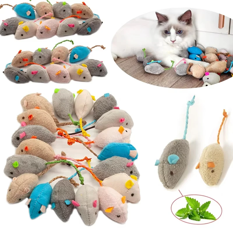 5 sztuk zabawek dla kotów w ks – Catnip Interactive Plush Mouse recenzja i cena