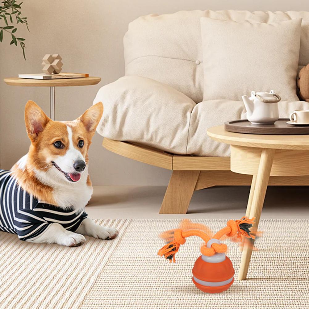 Piłka dla psa, interaktywna za – Automatic Moving Dog Ball recenzja i cena