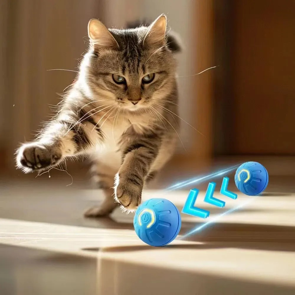 Nowa 1-częściowa automatyczna  – Automatic Moving Dog Ball recenzja i cena