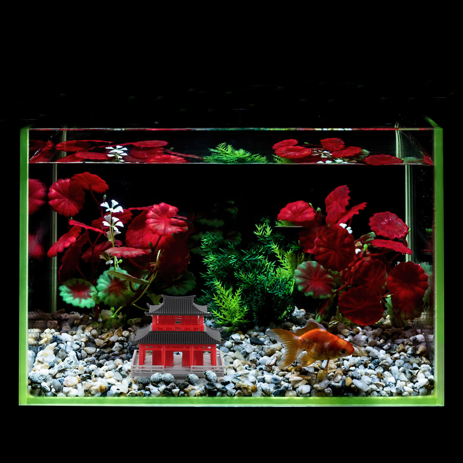 Chiński, starożytny pawilon, c – Aquarium recenzja i cena