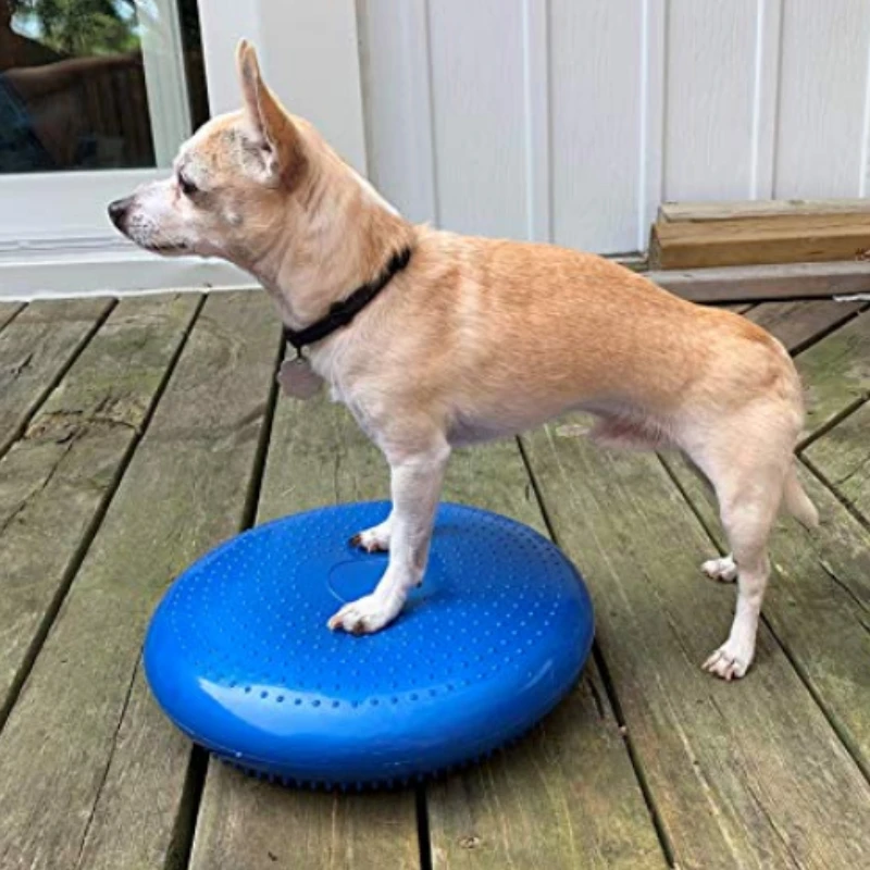 Pomoce szkoleniowe dla psów Ró – Flying Disc Dog Training Toy recenzja i cena