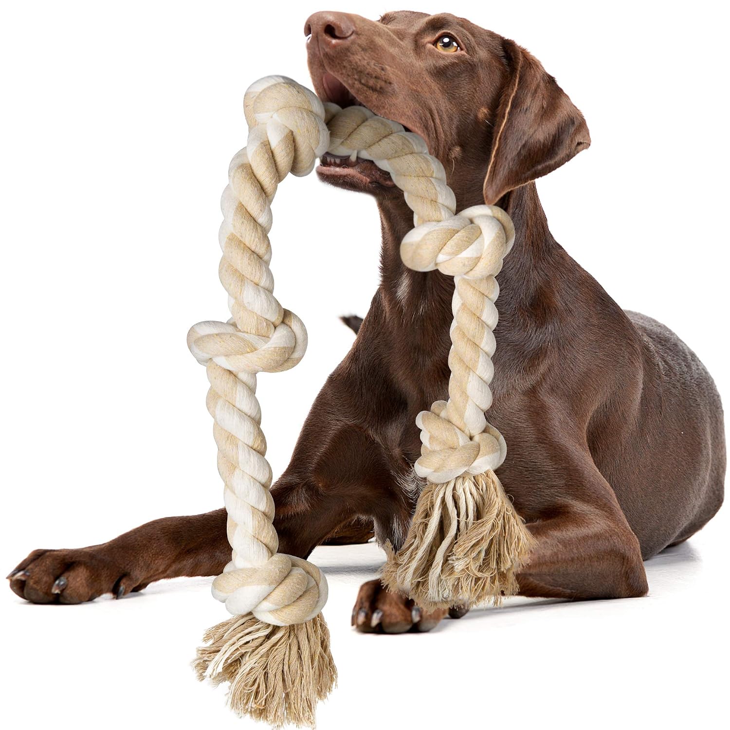 Wytrzymałe zabawki do żucia w  – Dog Rope Toy Aggressive Chewers recenzja i cena