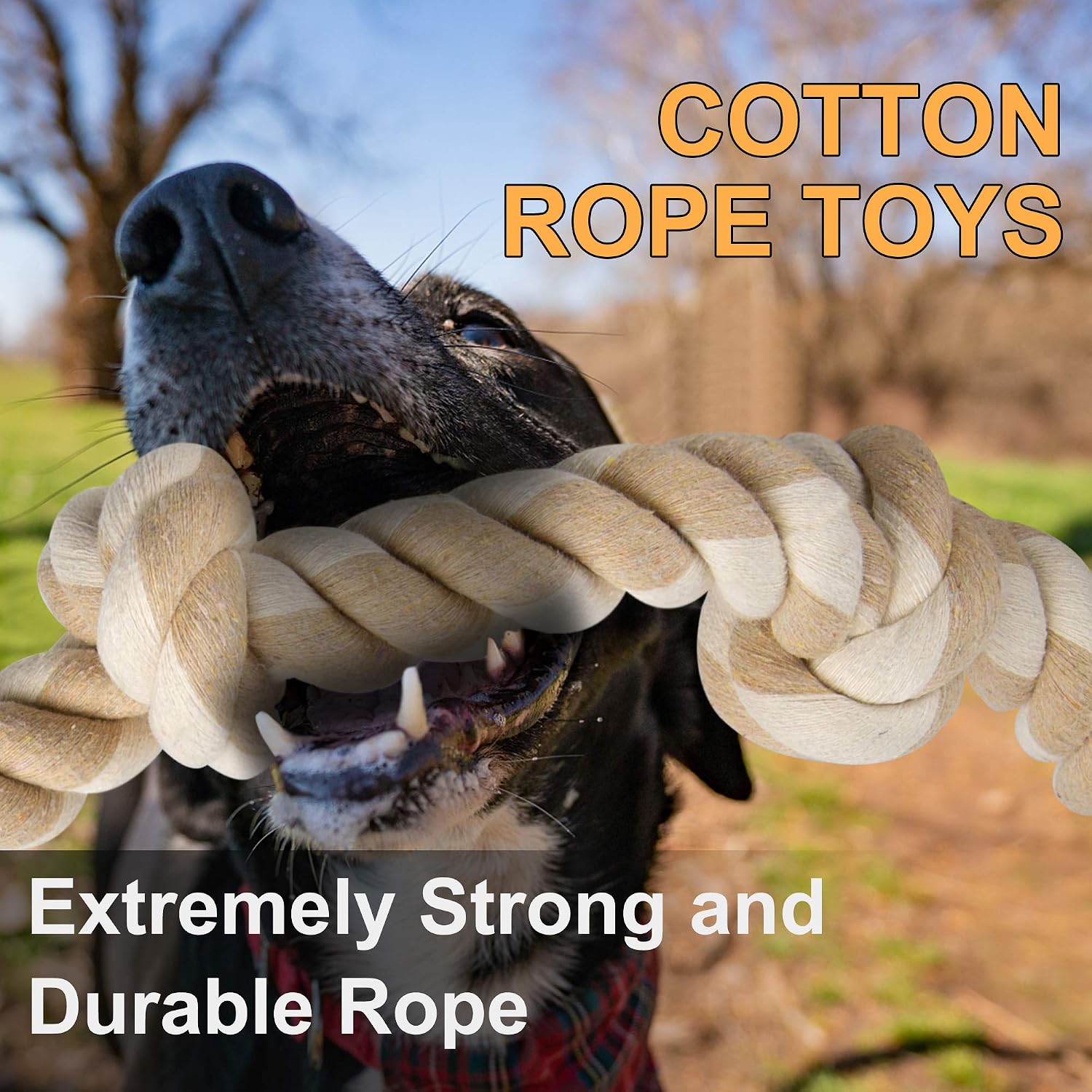 Wytrzymałe zabawki do żucia w  – Dog Rope Toy Aggressive Chewers recenzja i cena
