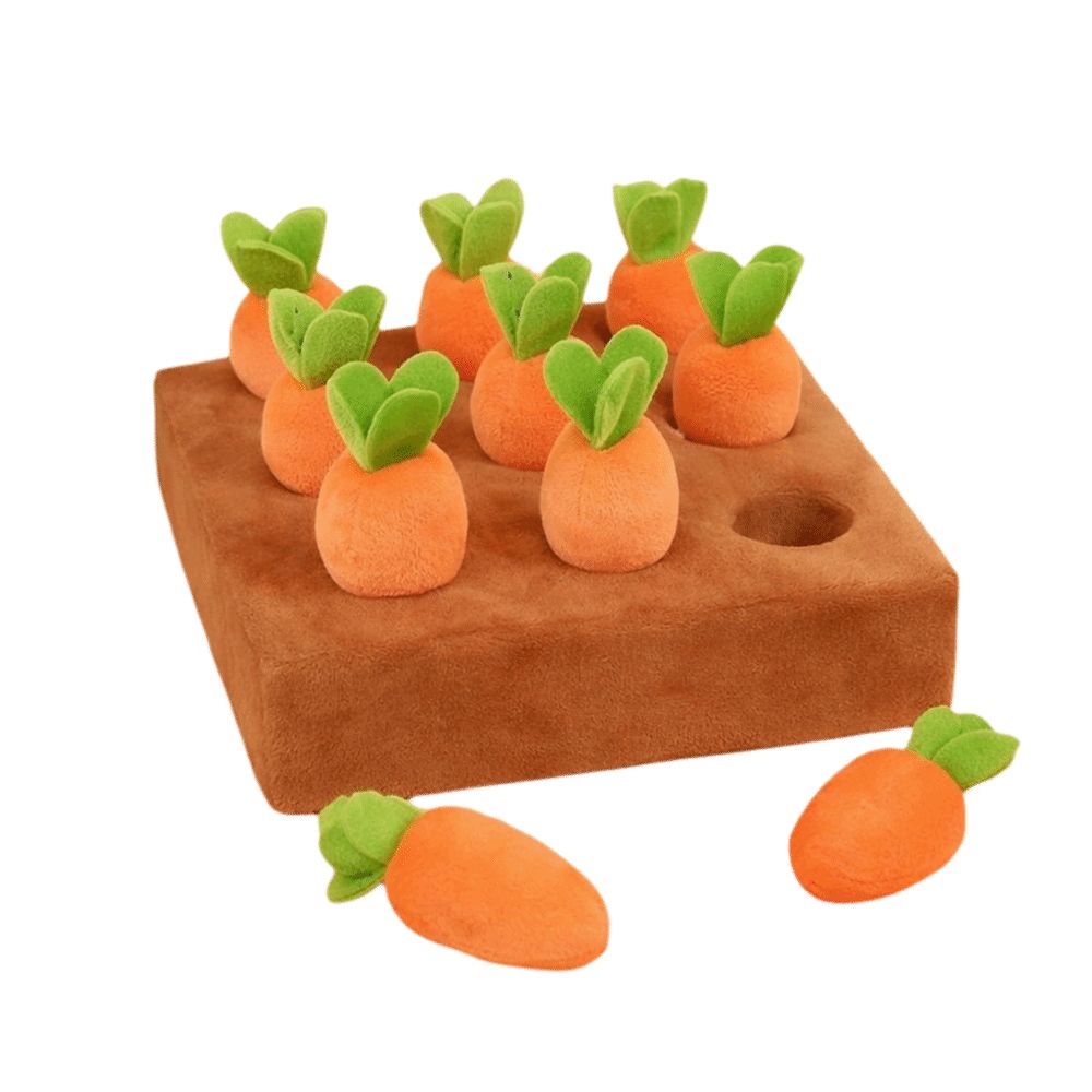 Mata węchowa do zabawy dla psó – Snuffle Mat For Dogs recenzja i cena