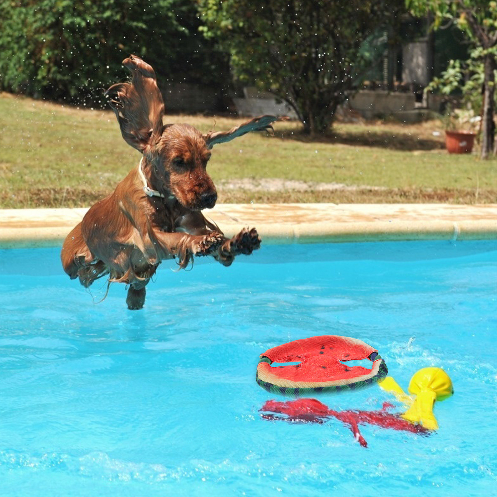 Lekki, pływający frisbee dla p – Flying Disc Dog Training Toy recenzja i cena