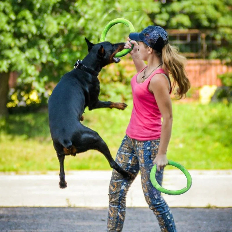 Zabawki dla psów latające dysk – Flying Disc Dog Training Toy recenzja i cena