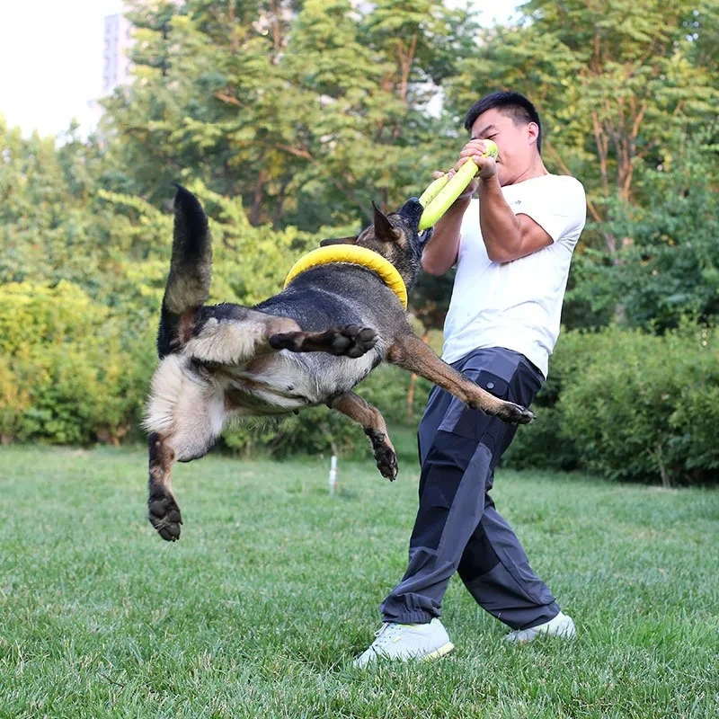 Zabawki dla psów latające dysk – Flying Disc Dog Training Toy recenzja i cena