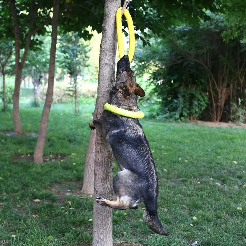 Zabawki dla psów latające dysk – Flying Disc Dog Training Toy recenzja i cena
