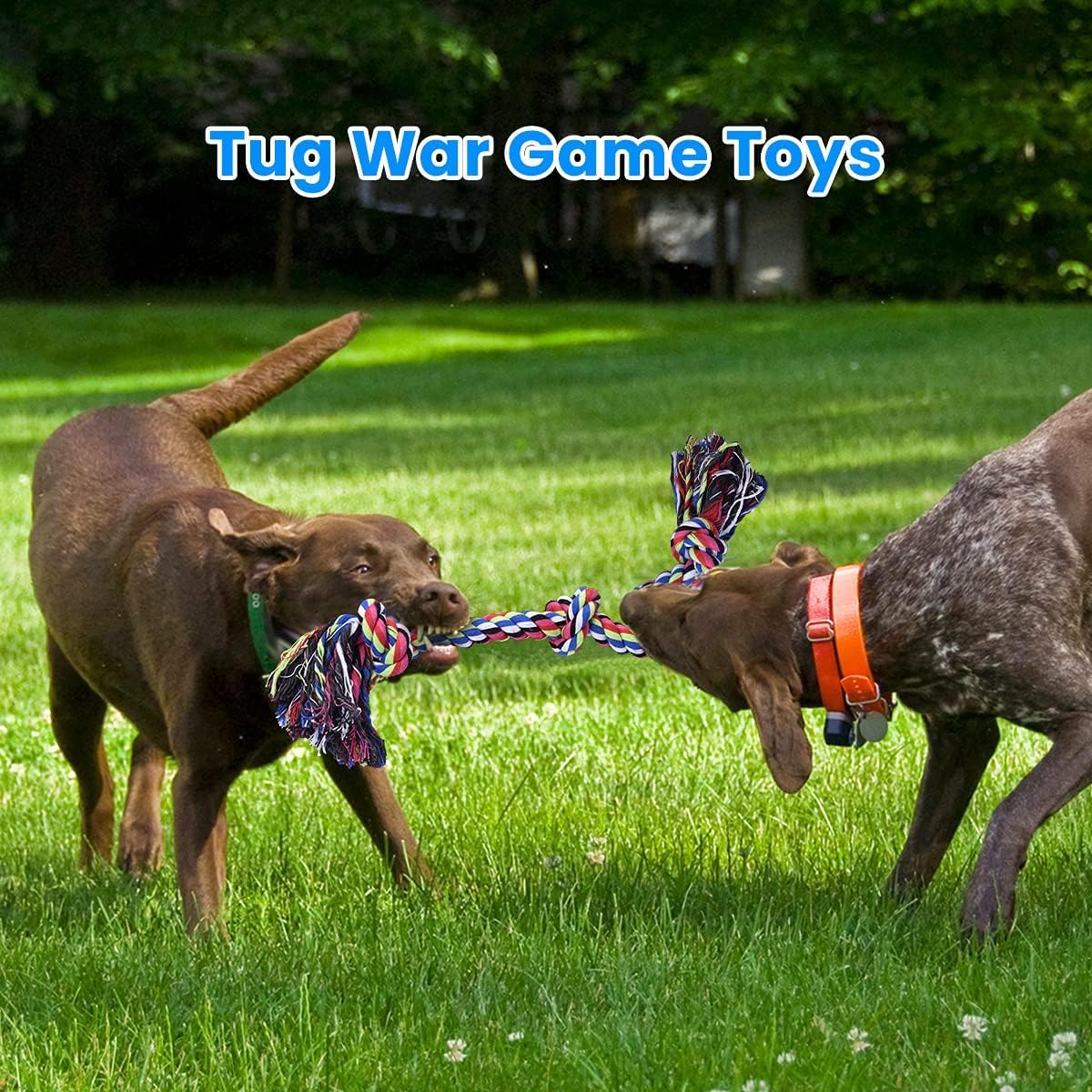 Wytrzymałe zabawki dla psów w  – Dog Rope Toy Aggressive Chewers recenzja i cena