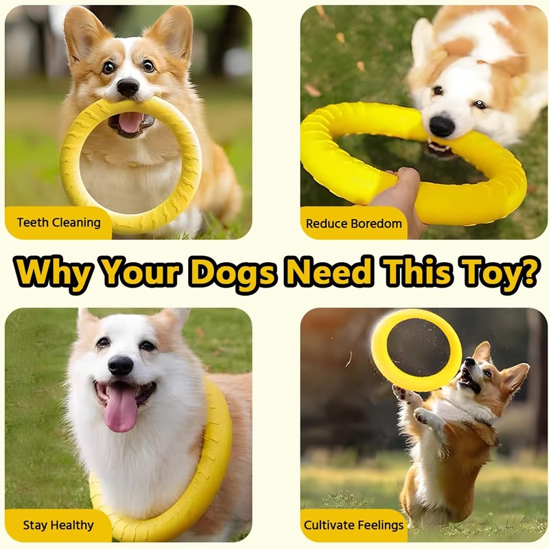 Zabawki dla psów, latające dys – Flying Disc Dog Training Toy recenzja i cena