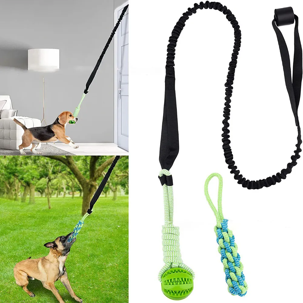 Interaktywna zabawka dla psa T – Suction Cup Dog Tug Toy recenzja i cena