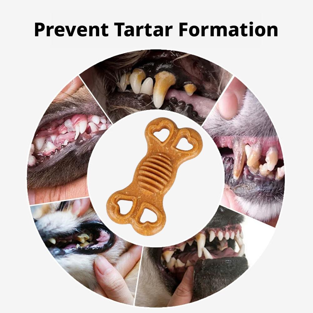 Niezniszczalna zabawka dla psó – Teeth Cleaning Dog Chew Bone recenzja i cena