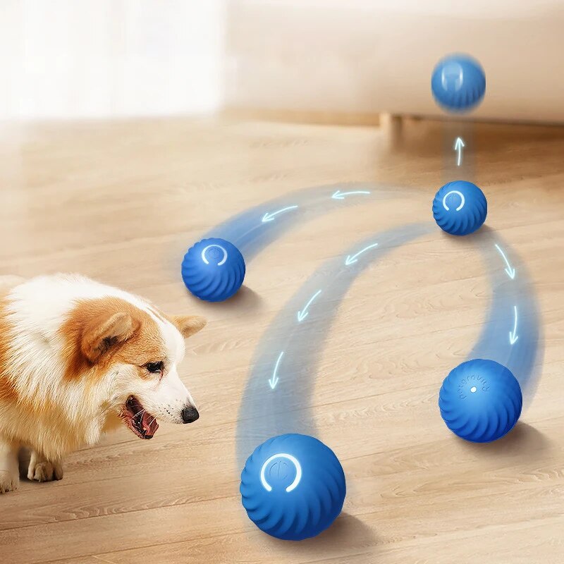 Zabawki dla psów Inteligentna  – Suction Cup Dog Tug Toy recenzja i cena