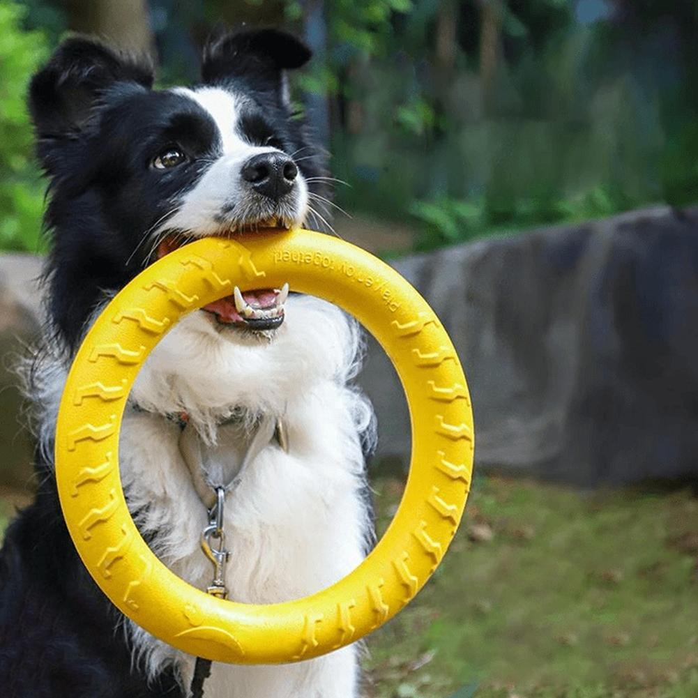 Zabawki dla psów w formie pier – Indestructible Dog Chew Toy recenzja i cena
