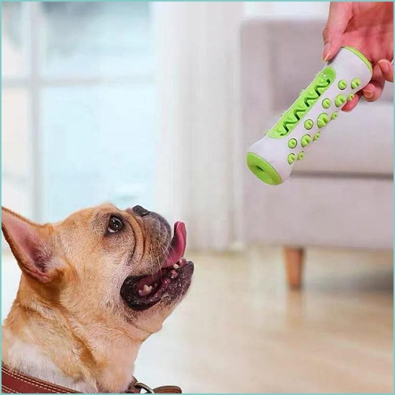 Gryzak dla psa z TPR, trwały p – Teeth Cleaning Dog Chew Bone recenzja i cena